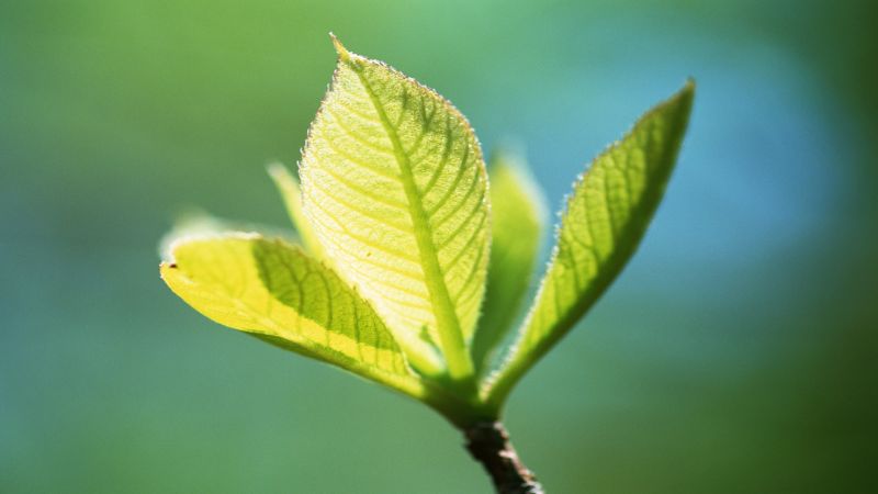 互联网家装：一场刚刚开始的远征 - 金评媒