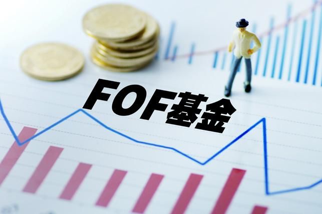 首批公募FOF正式落地,6家基金公司获得批文 - 金评媒