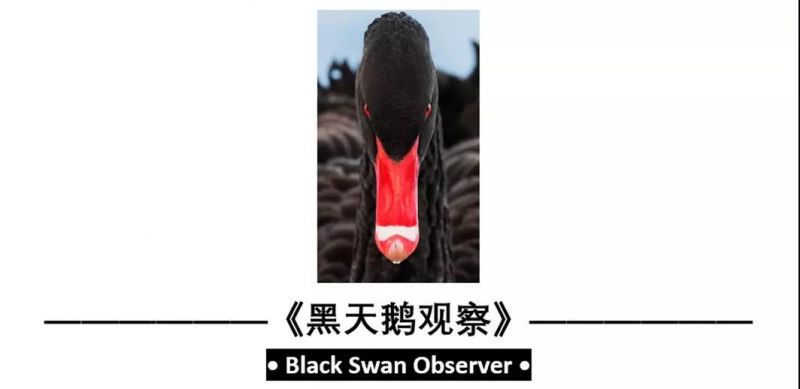 黑天鹅观察 | “中国大空头” 与 黑天鹅