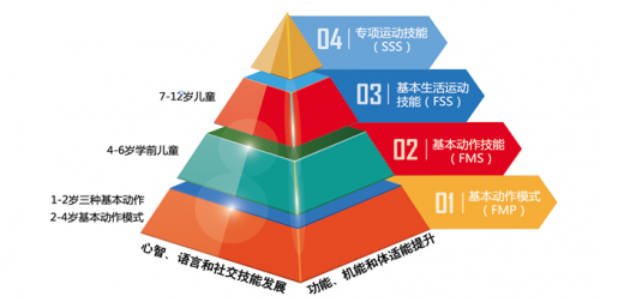 (图为儿童动作发展金字塔模型)