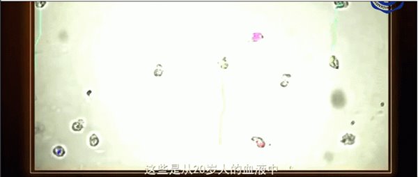20230706_151353_671.gif
