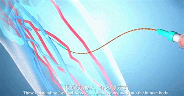 20230706_151353_874.gif