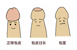 2025-04-8的文章 - 金评媒