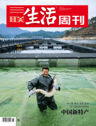 2025-04-18的文章 - 金评媒