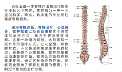 2025-05-6的文章 - 金评媒